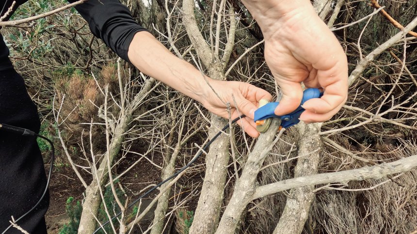 FERNANDO MOTA_Oficina de Som_11